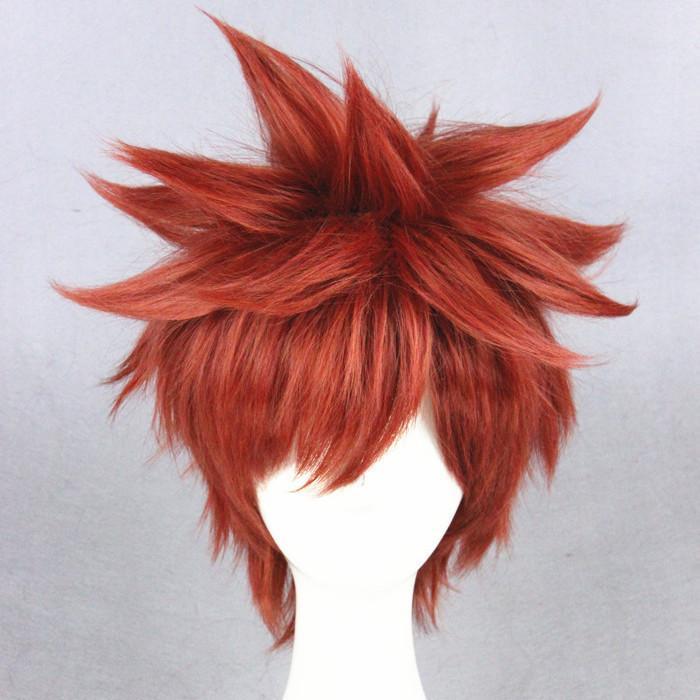 Cosplay Wig - Fate stay night - Shirou Emiya