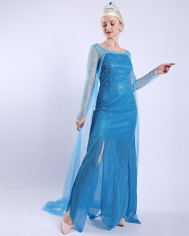 Adult Frozen Elsa Princess Gown Halloween Costume