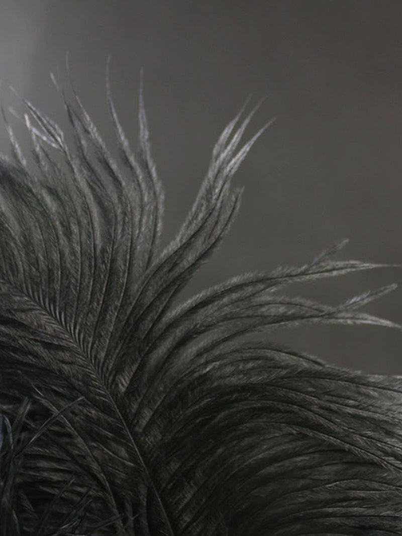 Indian Diamond Sequined Black Feather Headband